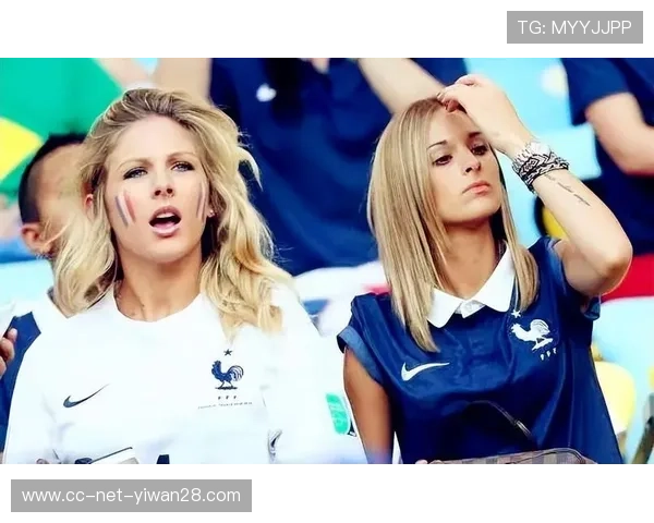 绿茵智慧之光盘点那些被誉为足球场上最聪明的球星